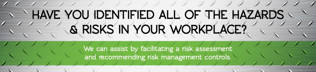 CHELIS Group Workplace Risk Assessment